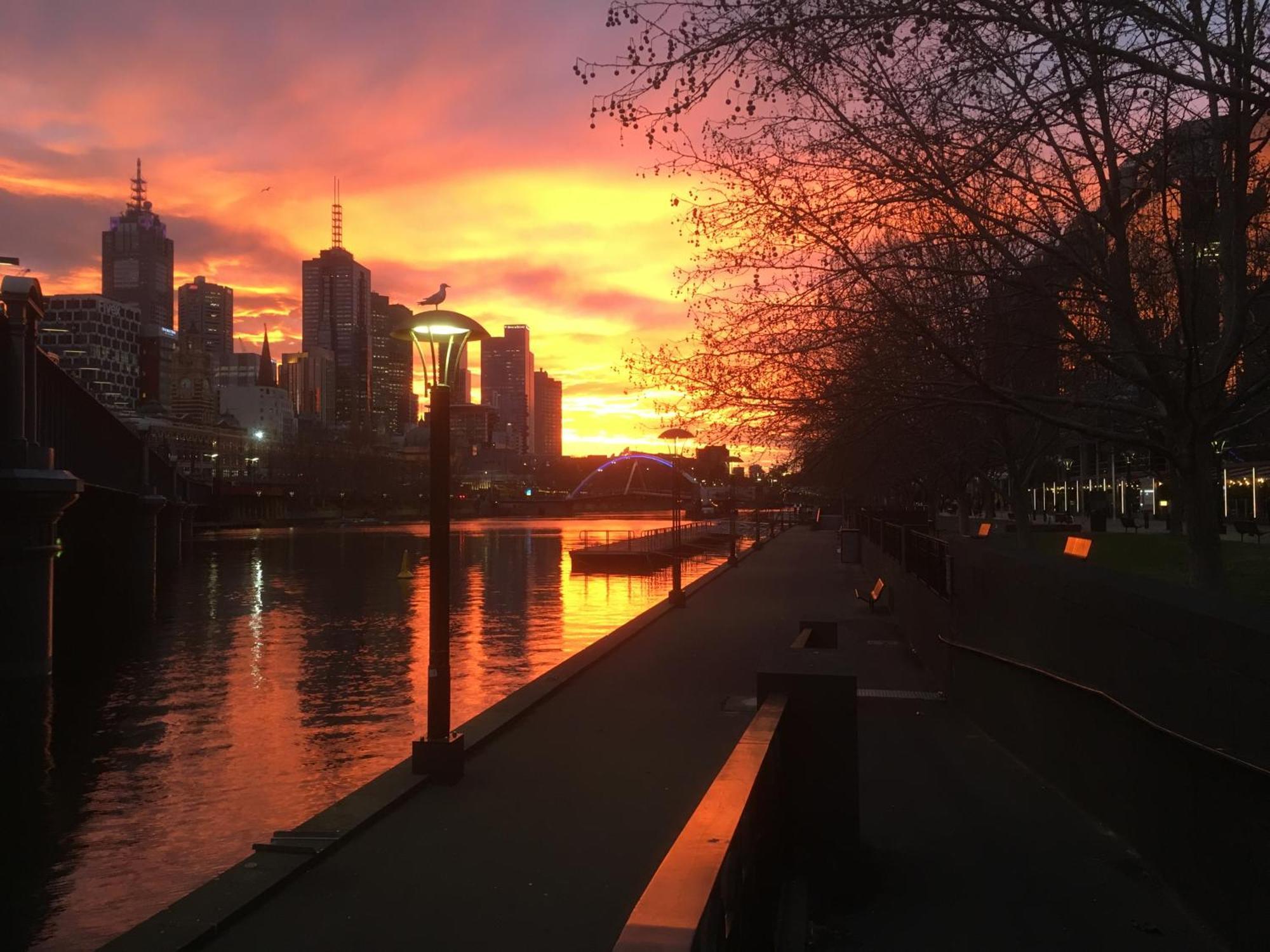 The Walkup Southbank — Photos 2